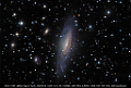 26 NGC 7331 (Spiral Galaxy in Pegasus)